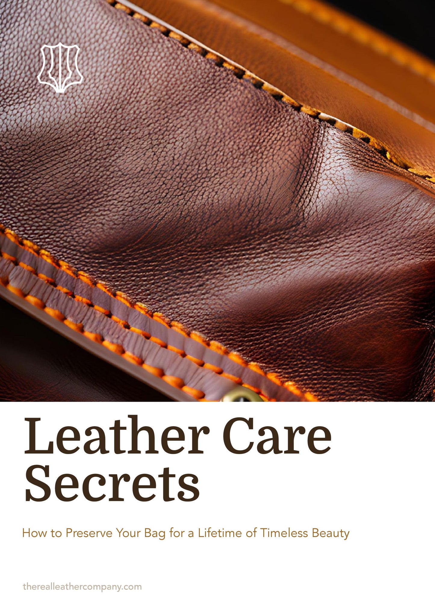 leather care secrets ebook