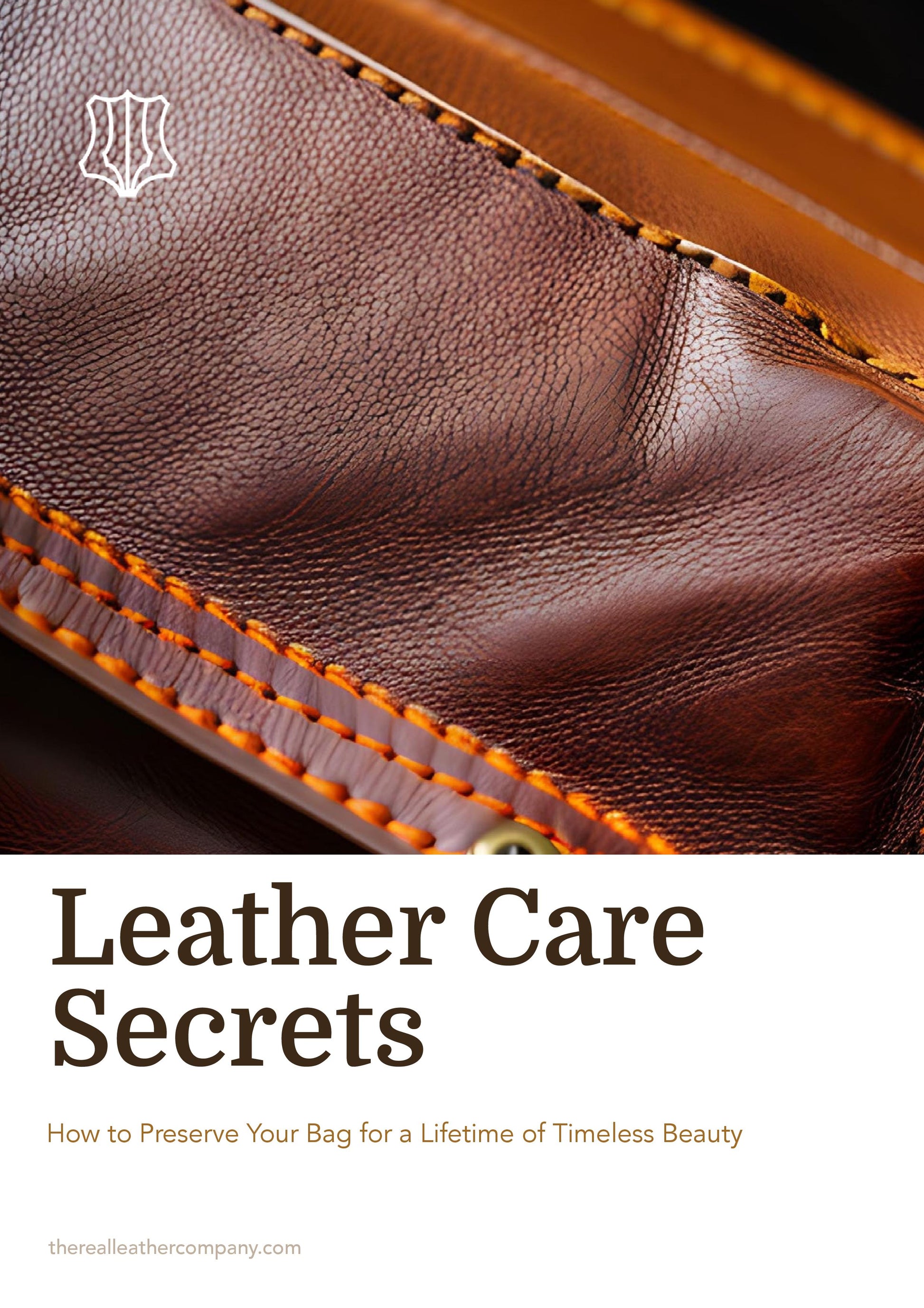 leather care secrets